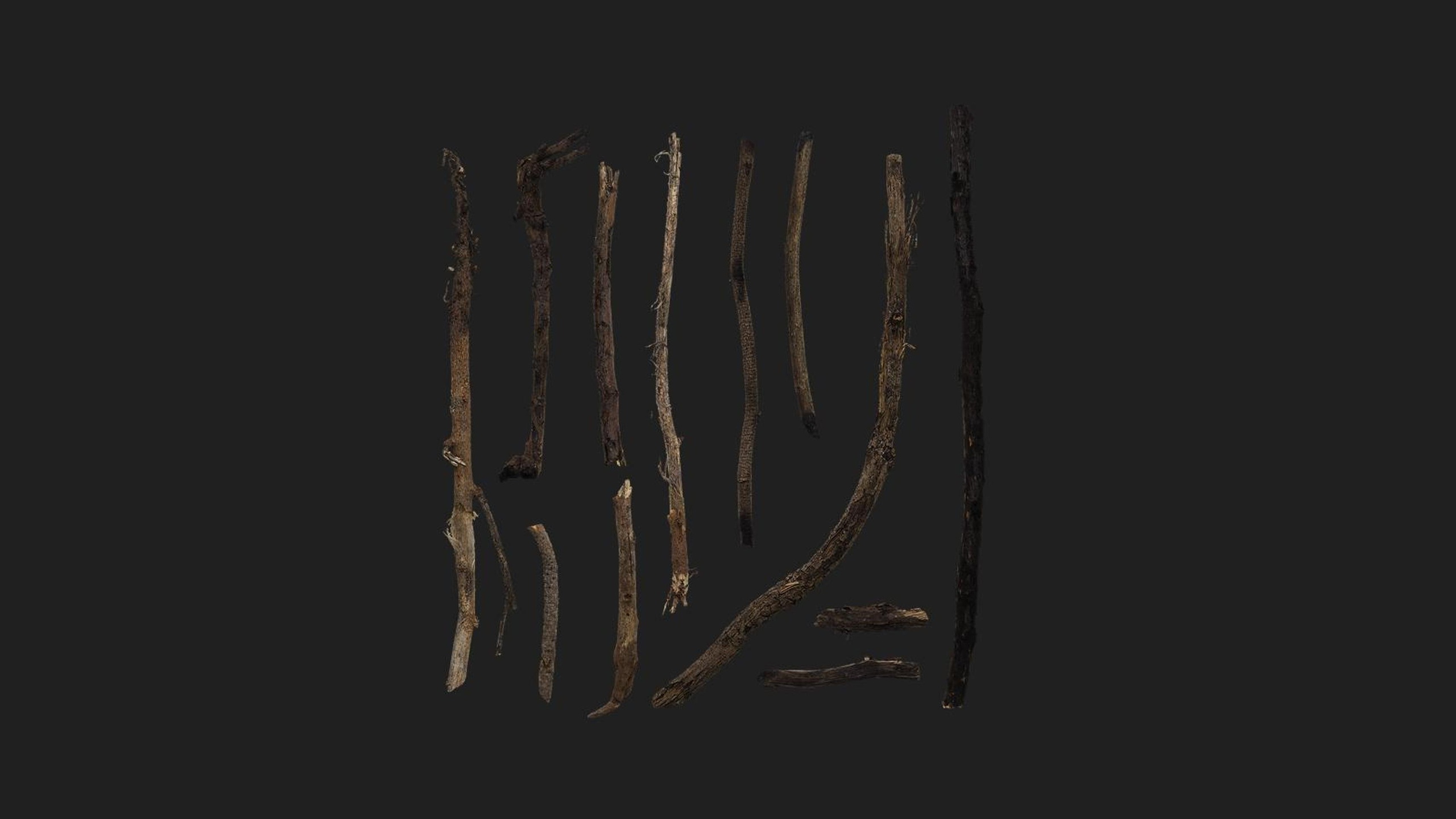 Media 1 for listing Sticks and Twigs