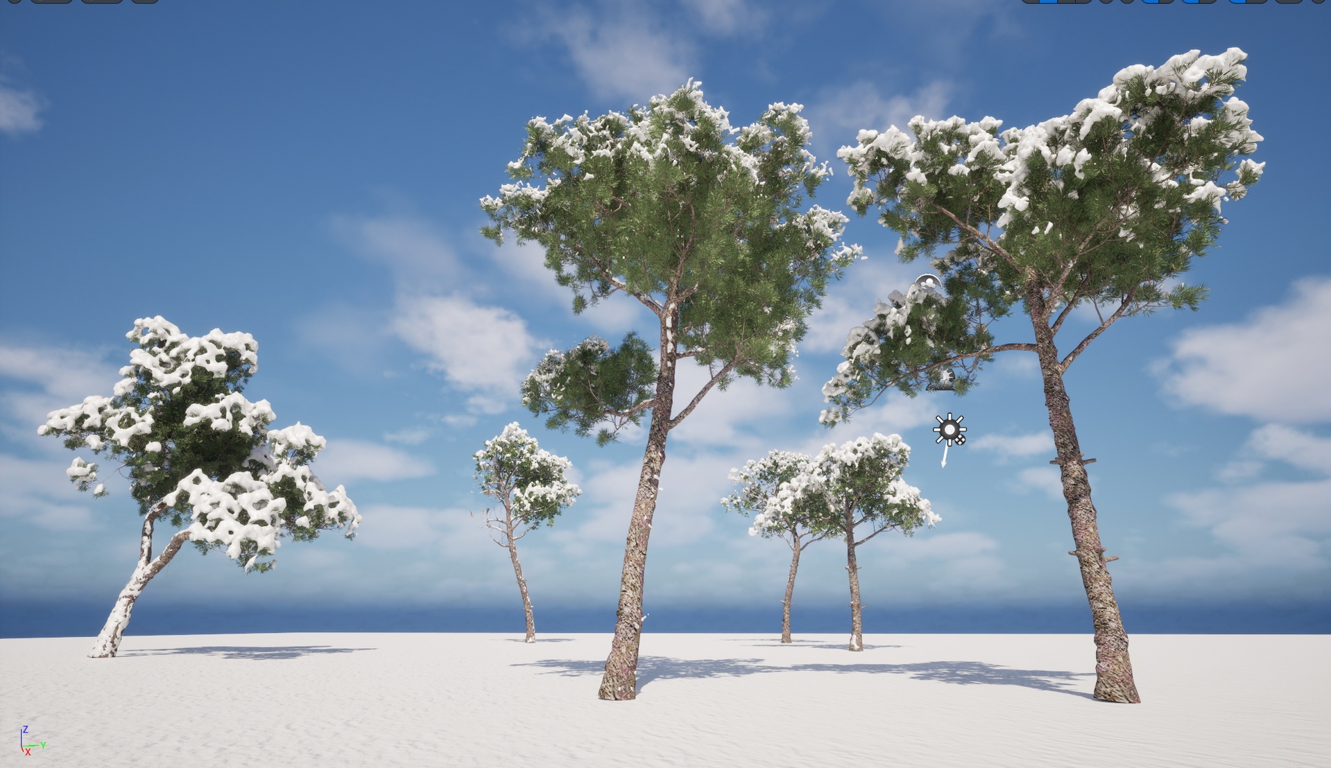Media 1 for listing Nanite - Winter Snow Tree - Pinus dalatensis – Dalat pine