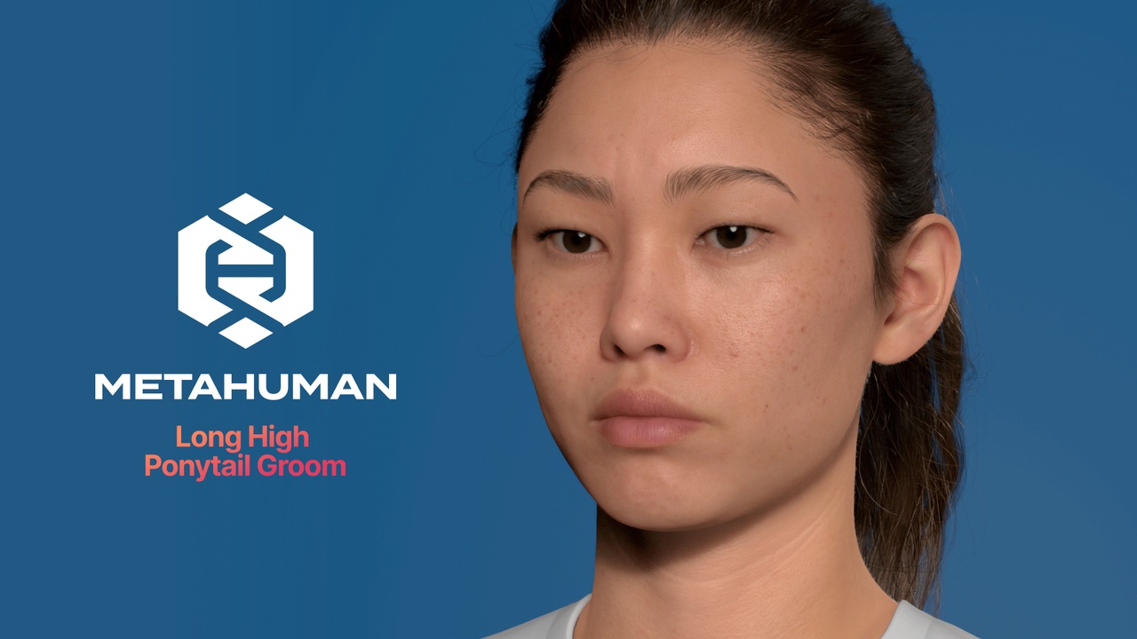 出品MetaHuman Long High Ponytail Groomのメディア1