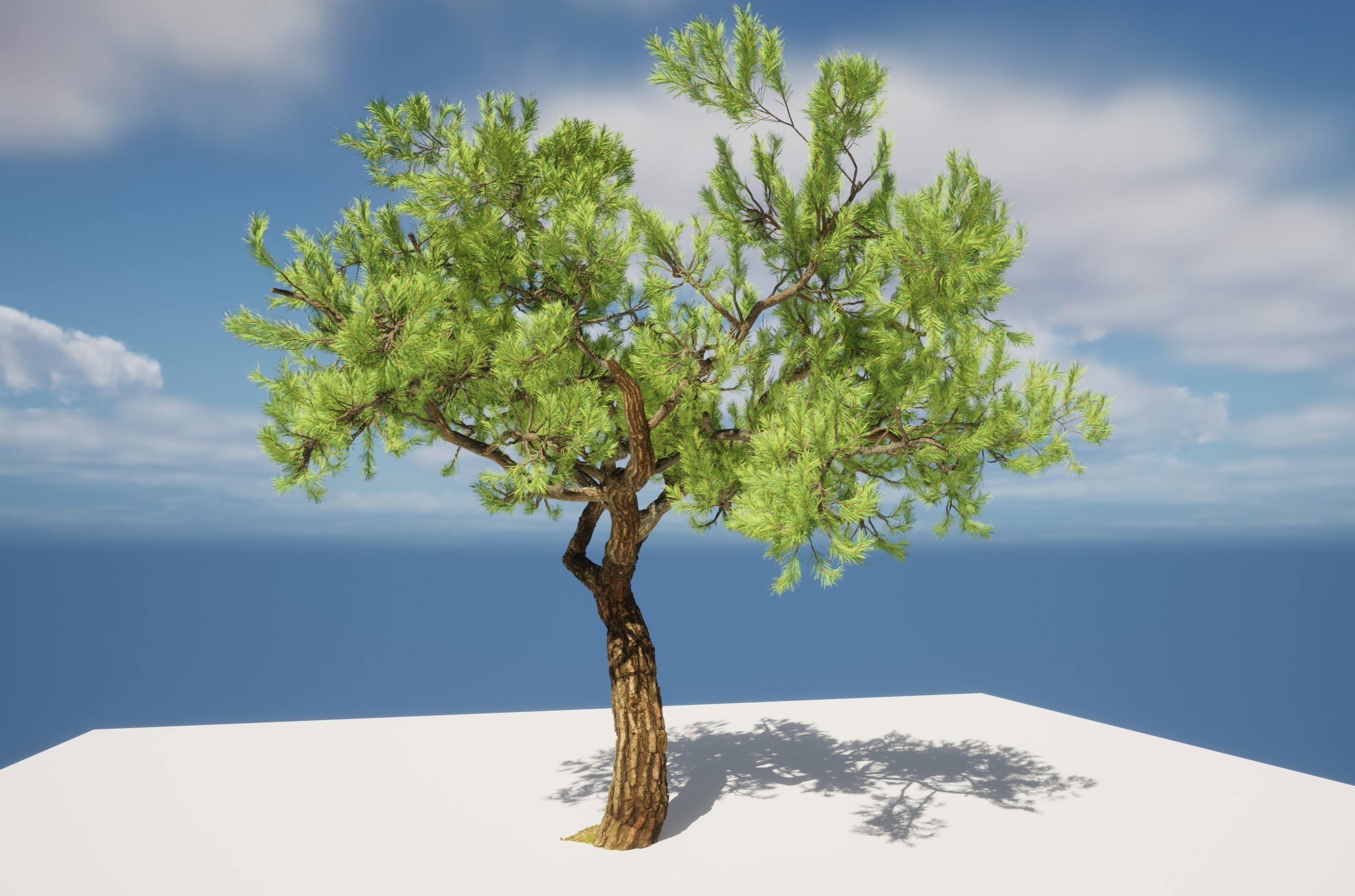 Media 1 for listing Nanite Pine Tree 01