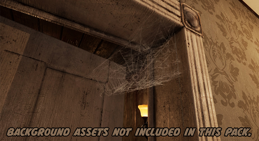 Realistic Spider Webs | Fab