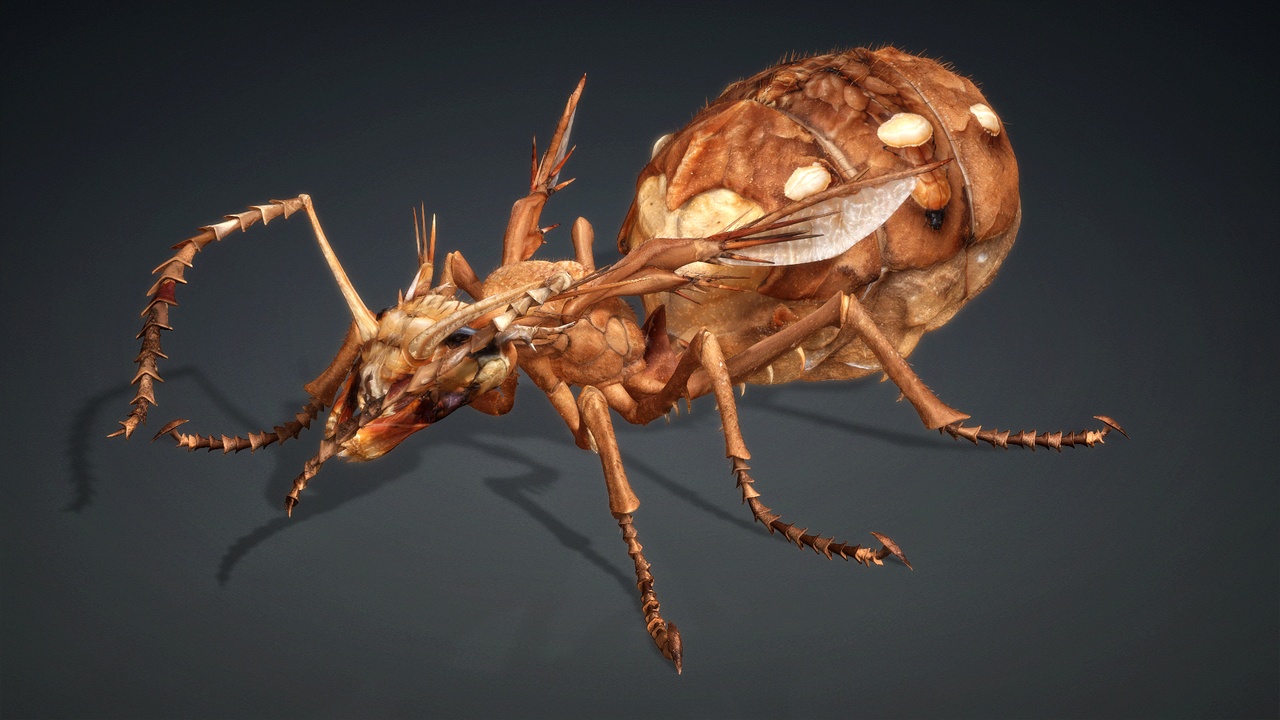 Media 1 for listing Ant Monster_V1e