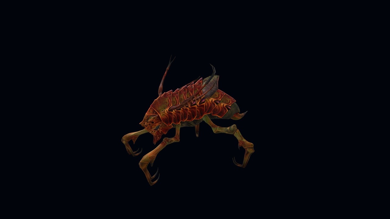 Media 1 for listing Baby Insect