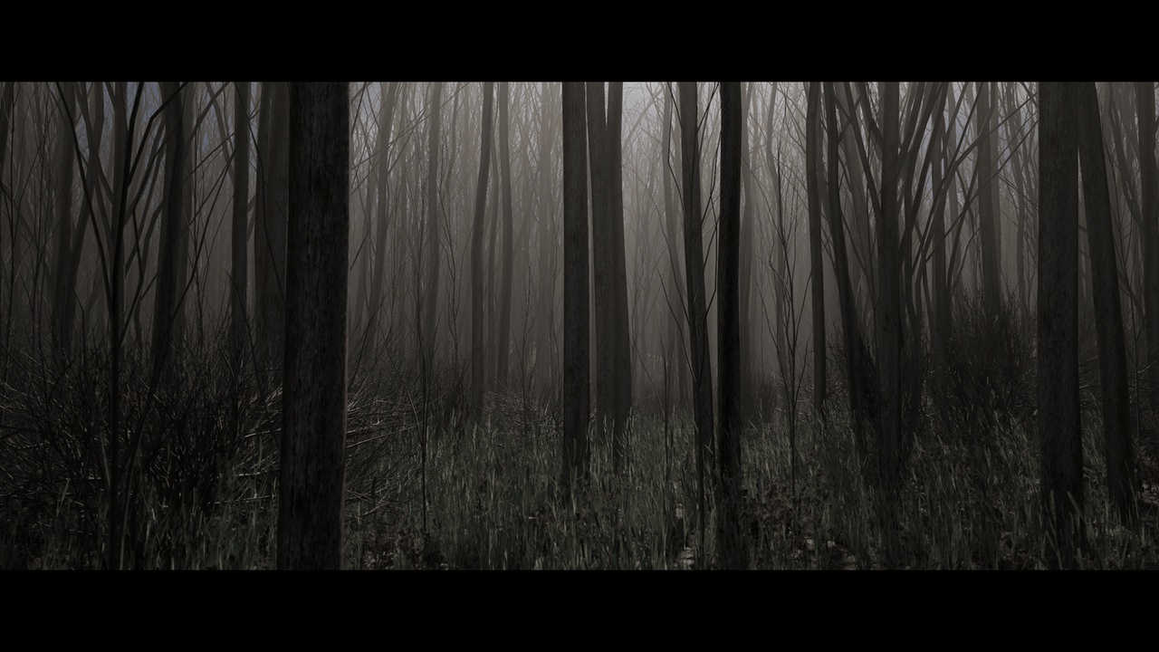 出品Tall Forestのメディア1