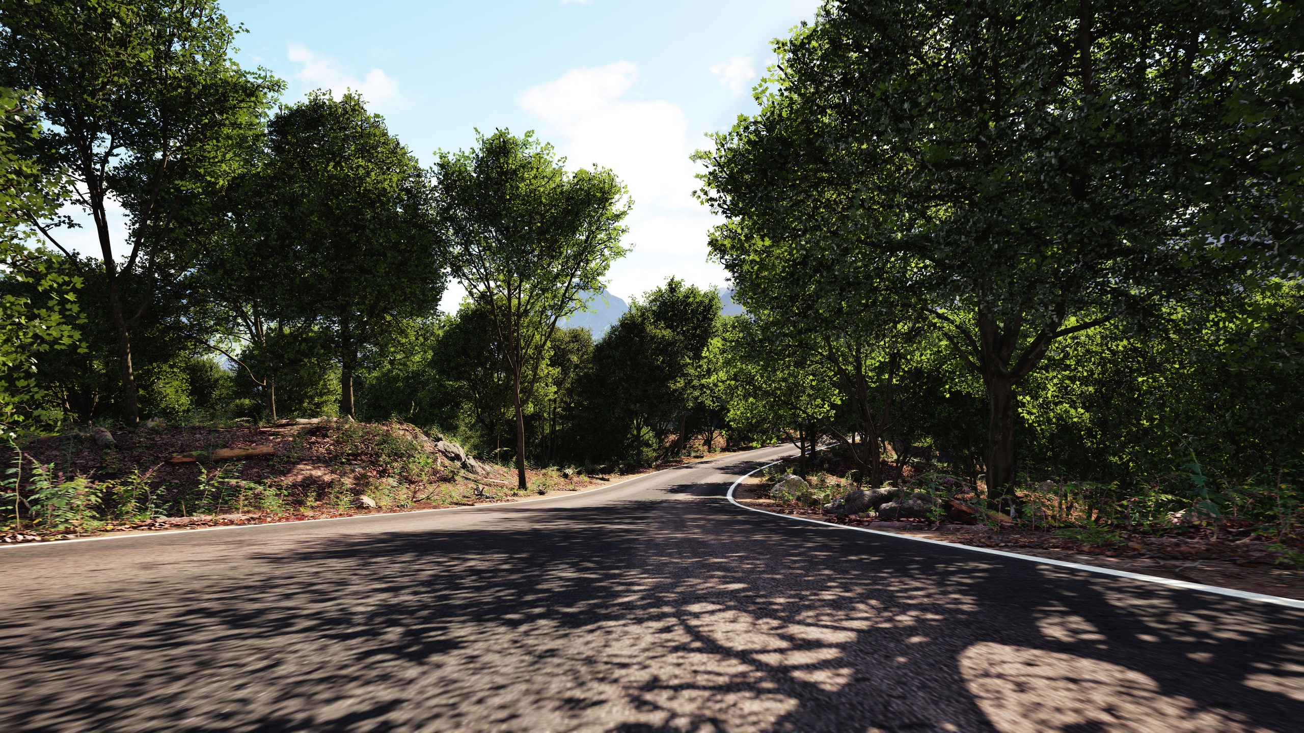 Media 1 for listing PVE Procedural Vegetation: Broadleaf Park Tree Presets