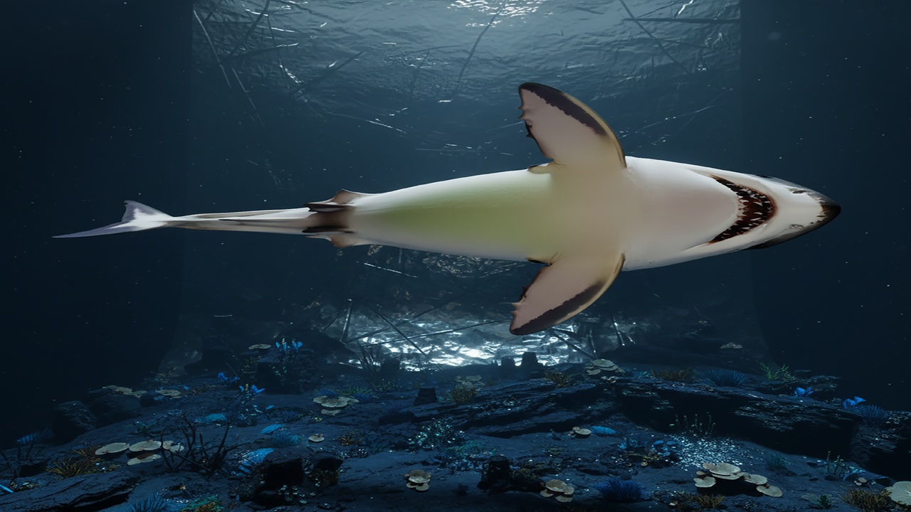 الوسائط 1 للقائمة Abyssal Predator Realistic Shark 3D Model