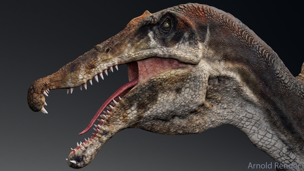 Media 1 for listing Dinosaur Spinosaurus