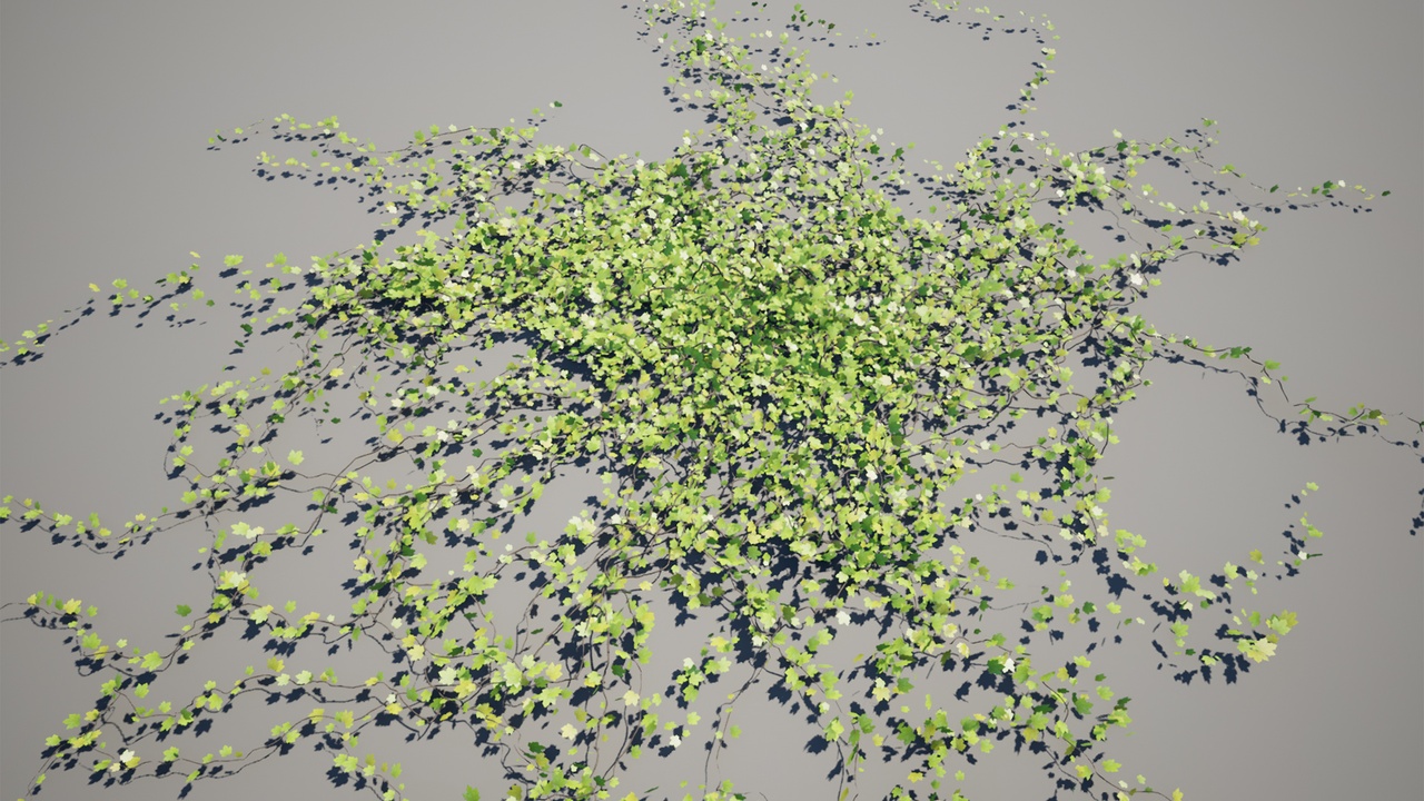 Media 1 for listing Vines 3D Models