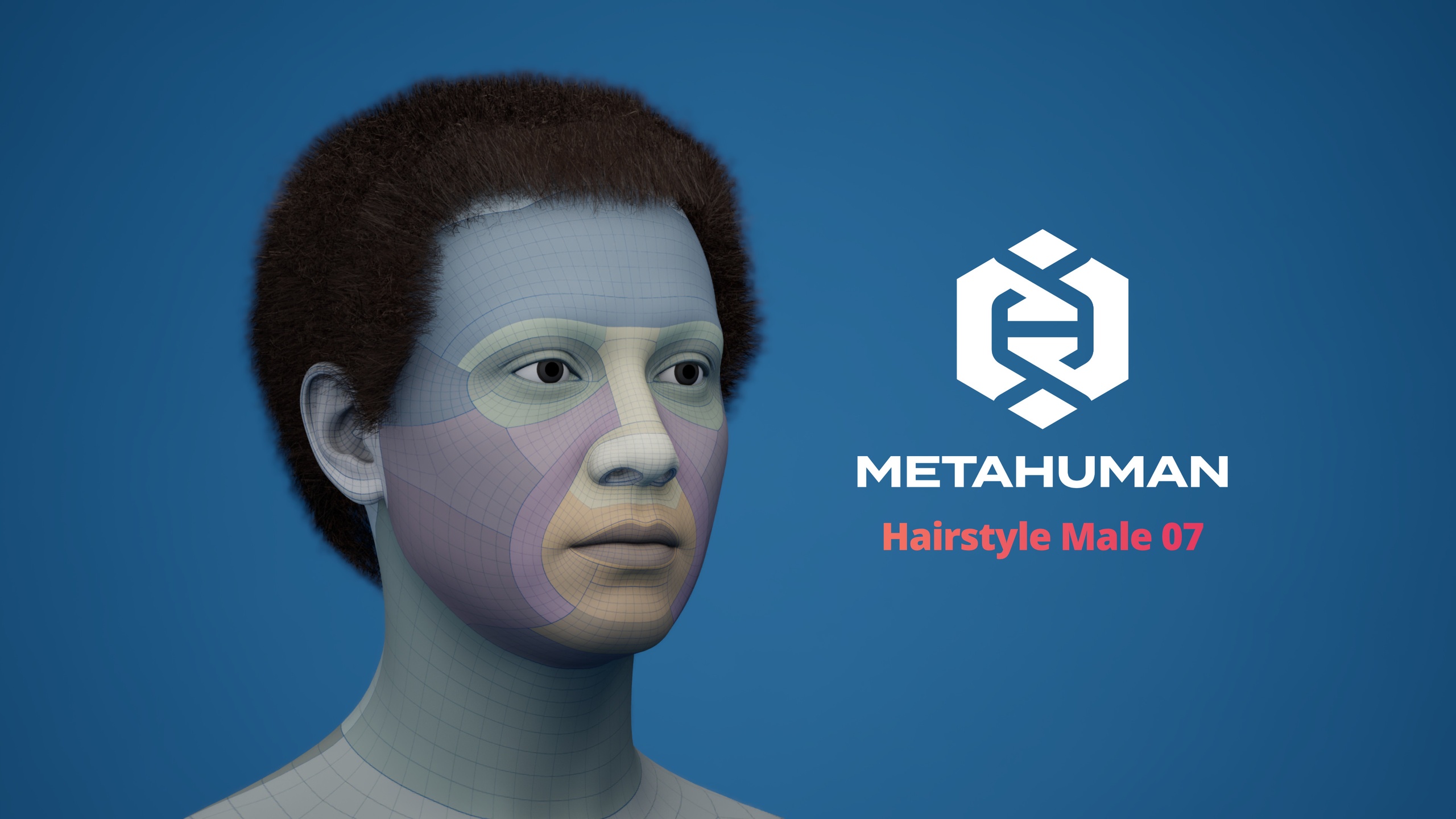 Media 1 for listing MetaHuman Hairstyle Male 07 Groom