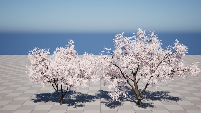 Sakura - Cherry blossom | Fab