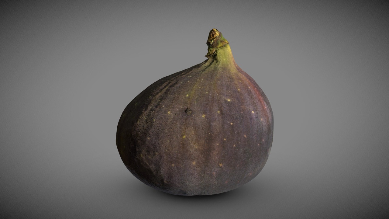 Media 1 for listing Fig