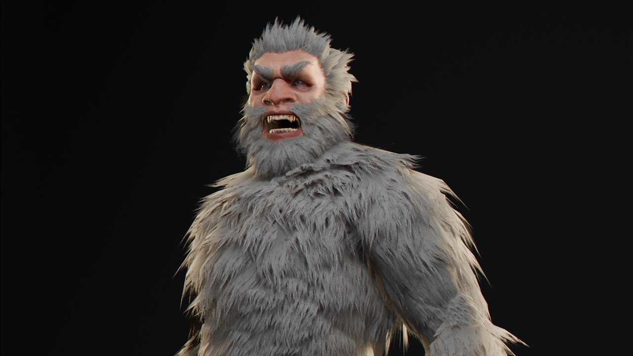 Media 1 for listing Yeti