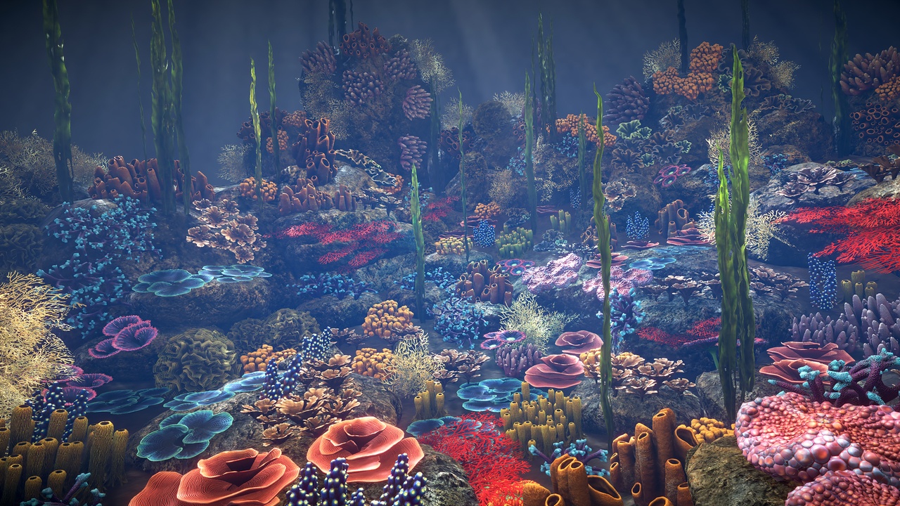 Medium 1 für Eintrag Corals