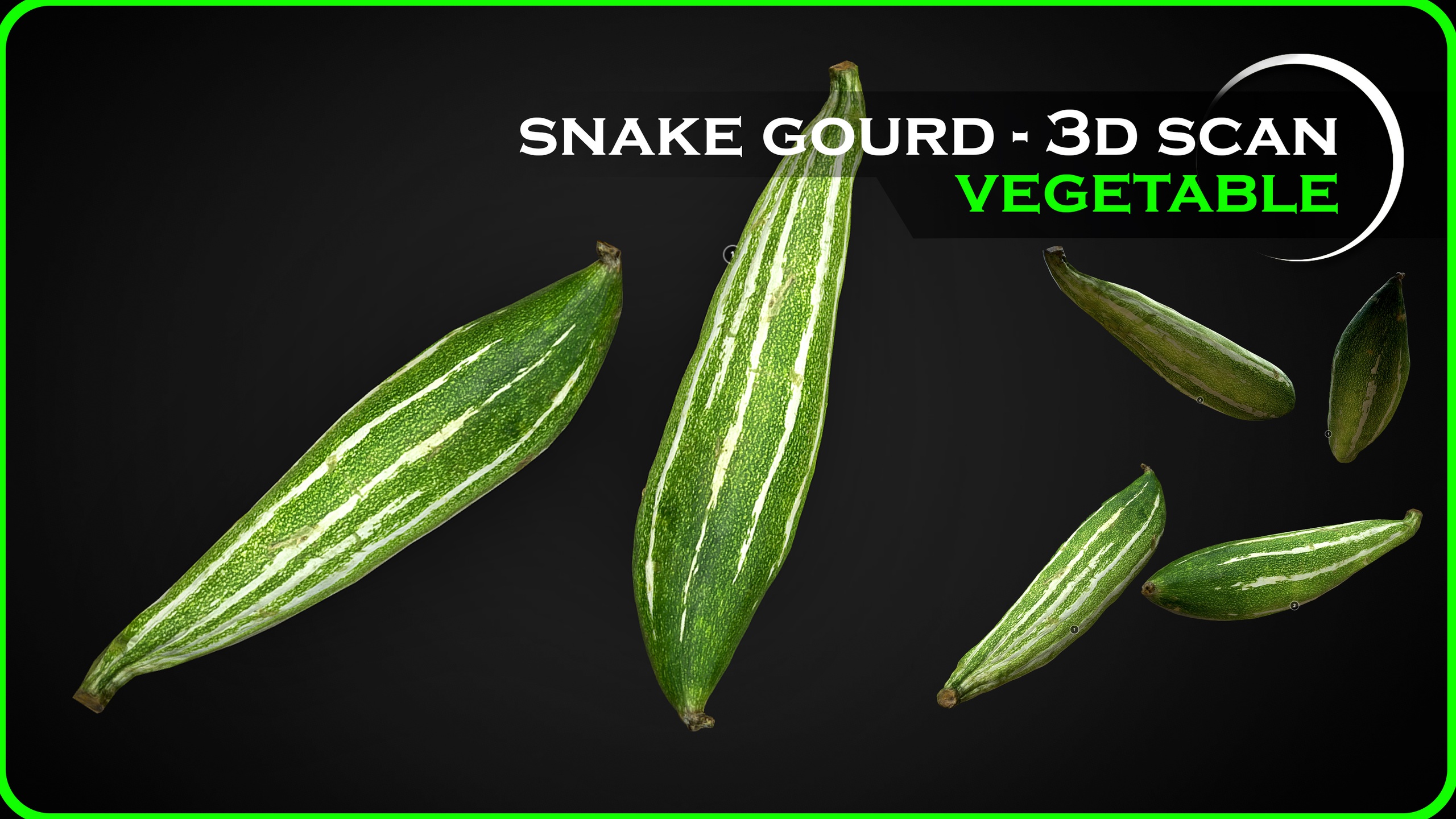 Media 1 for listing Snake Gourd