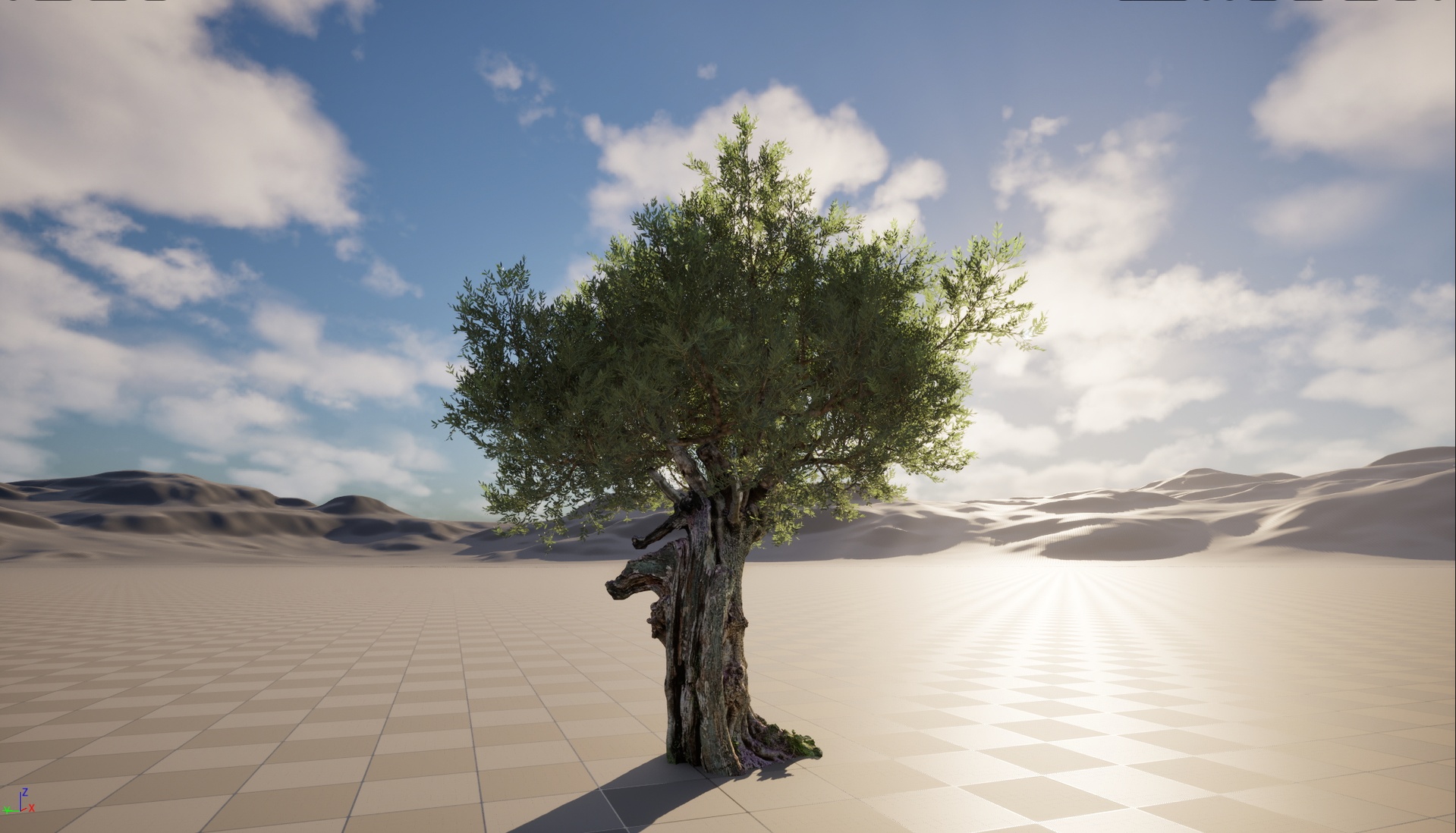 Media 1 for listing Nanite Wind Plants - Scanned Olea europaea - Common olive 07