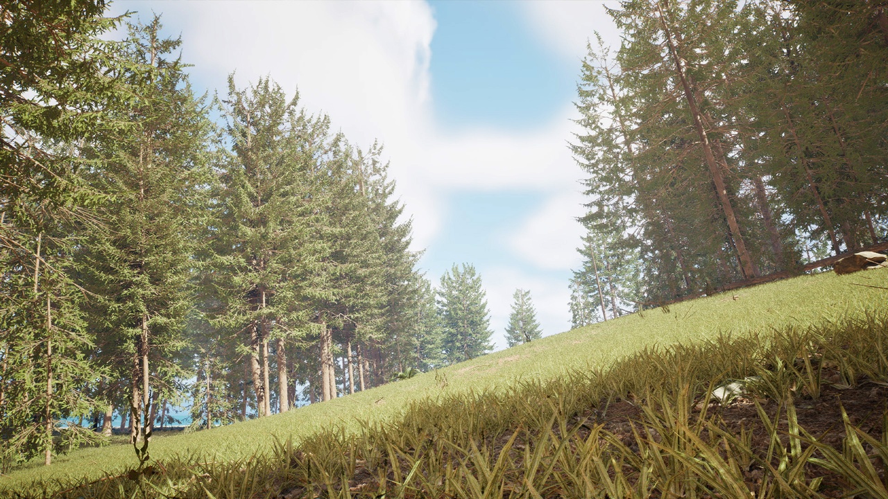 Média 1 pour l'article Realistic Forest 02 - Spruce Forest
