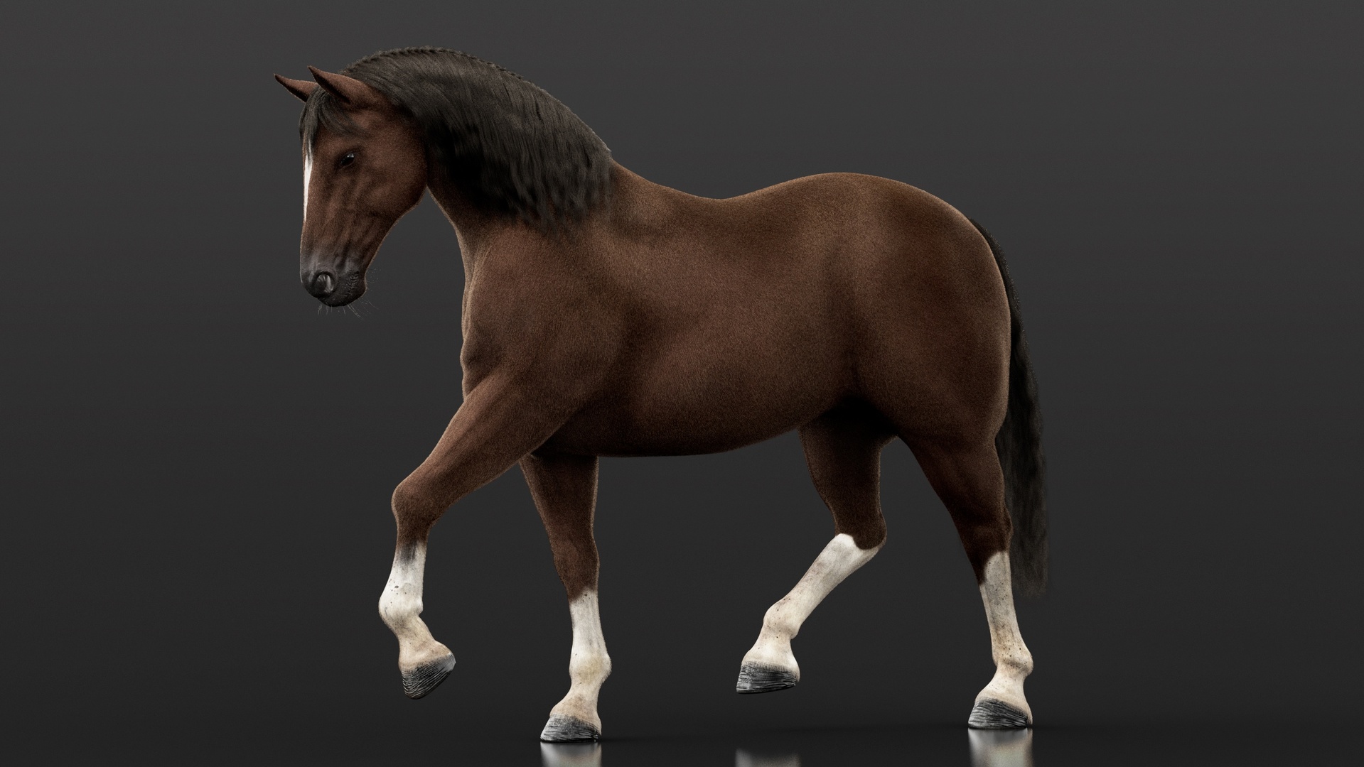 Media 1 for listing Dark Brown Horse RIG Maya Xgen-core