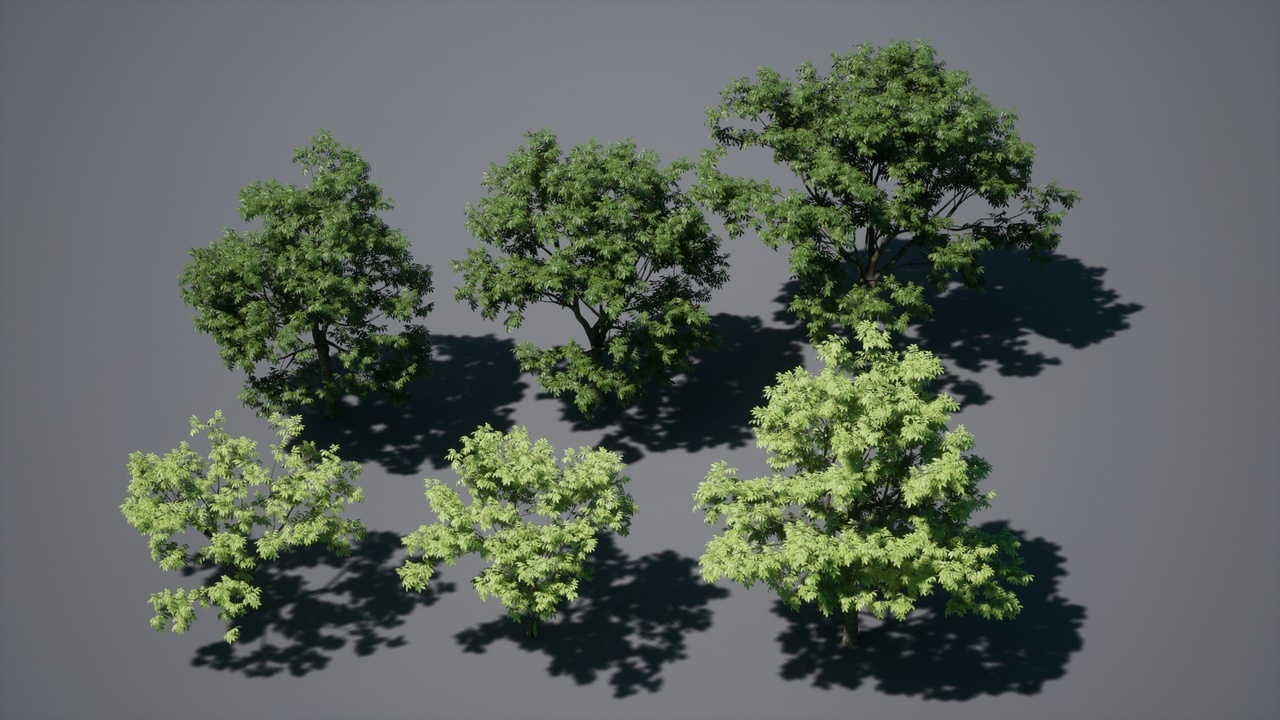 Media 1 for listing Variouslarge trees high precision