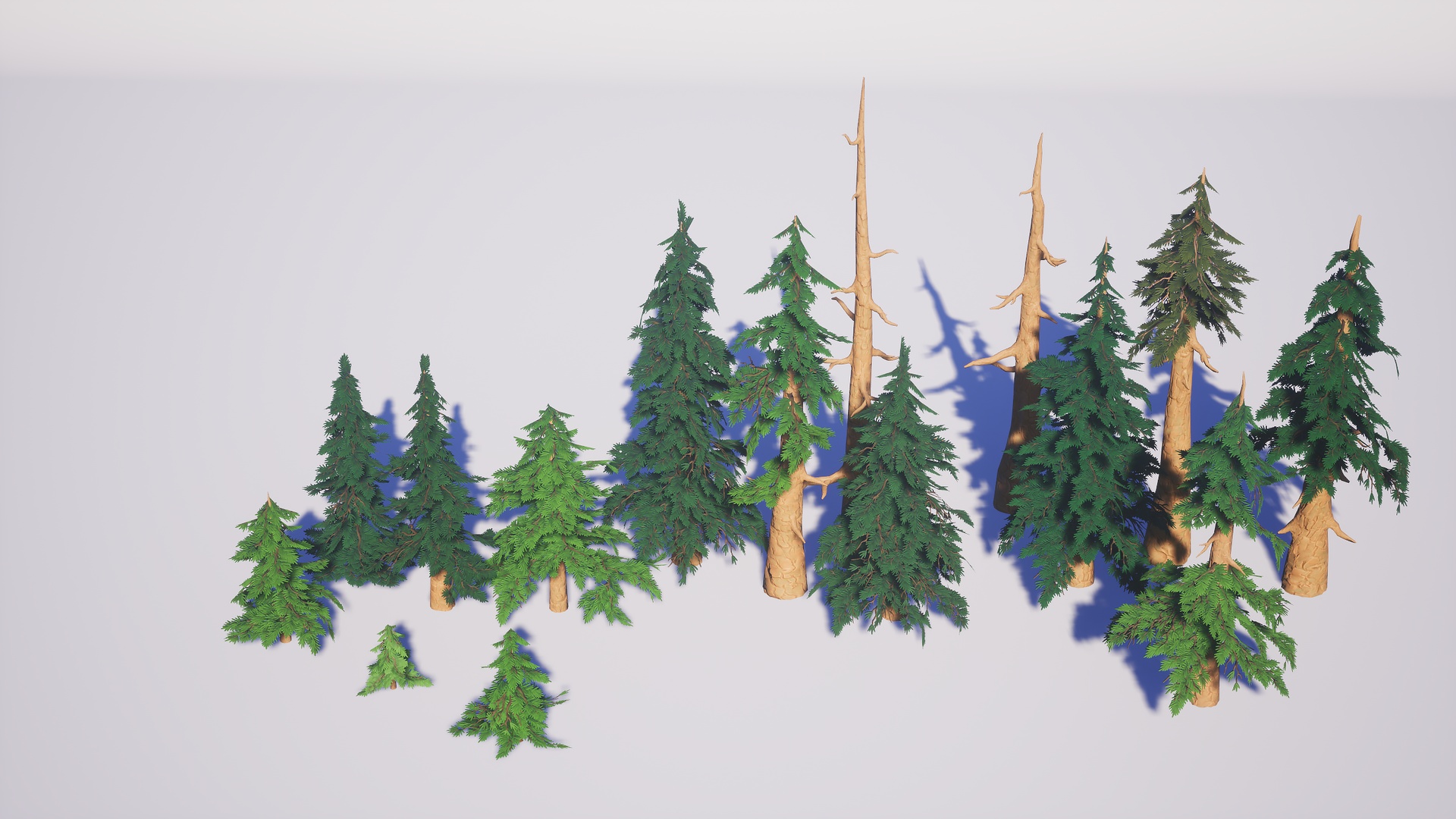Media 1 for listing Simple Firs Pack