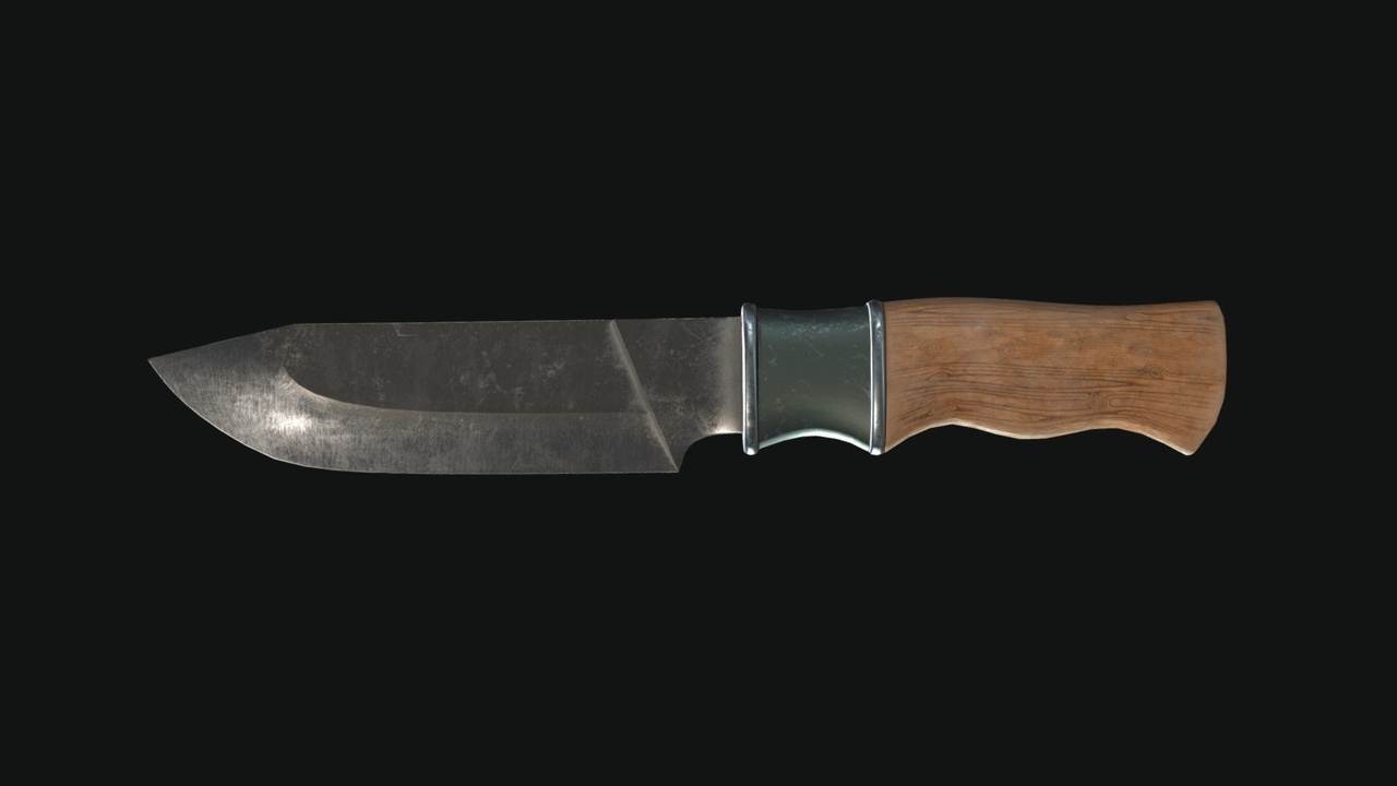 Media 1 for listing Old Knife