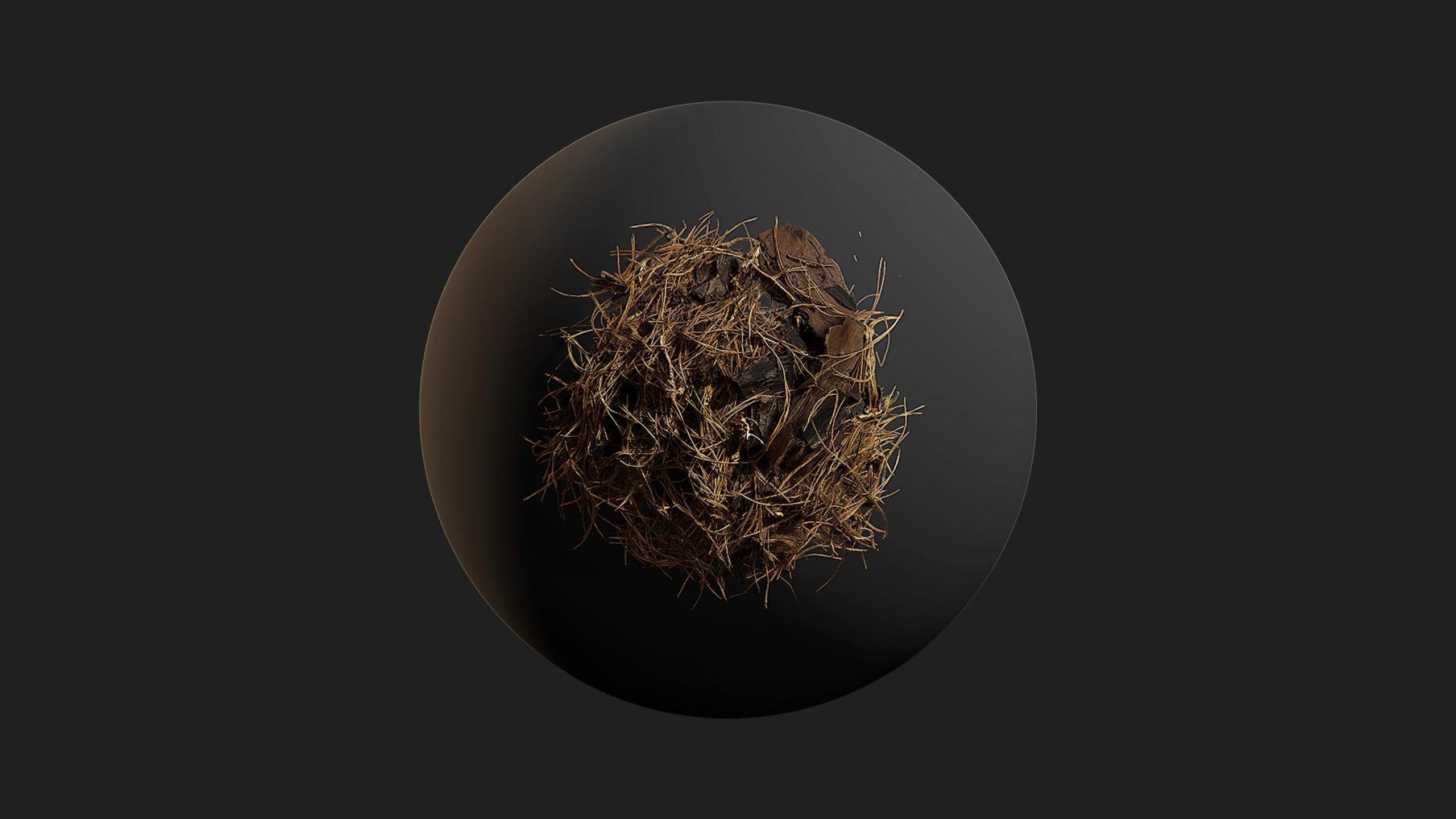 Media 1 for listing Pine Debris