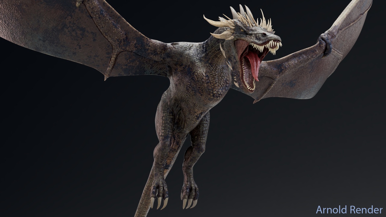 Dinosaur Wyvern Type Dragon 1 | Fab