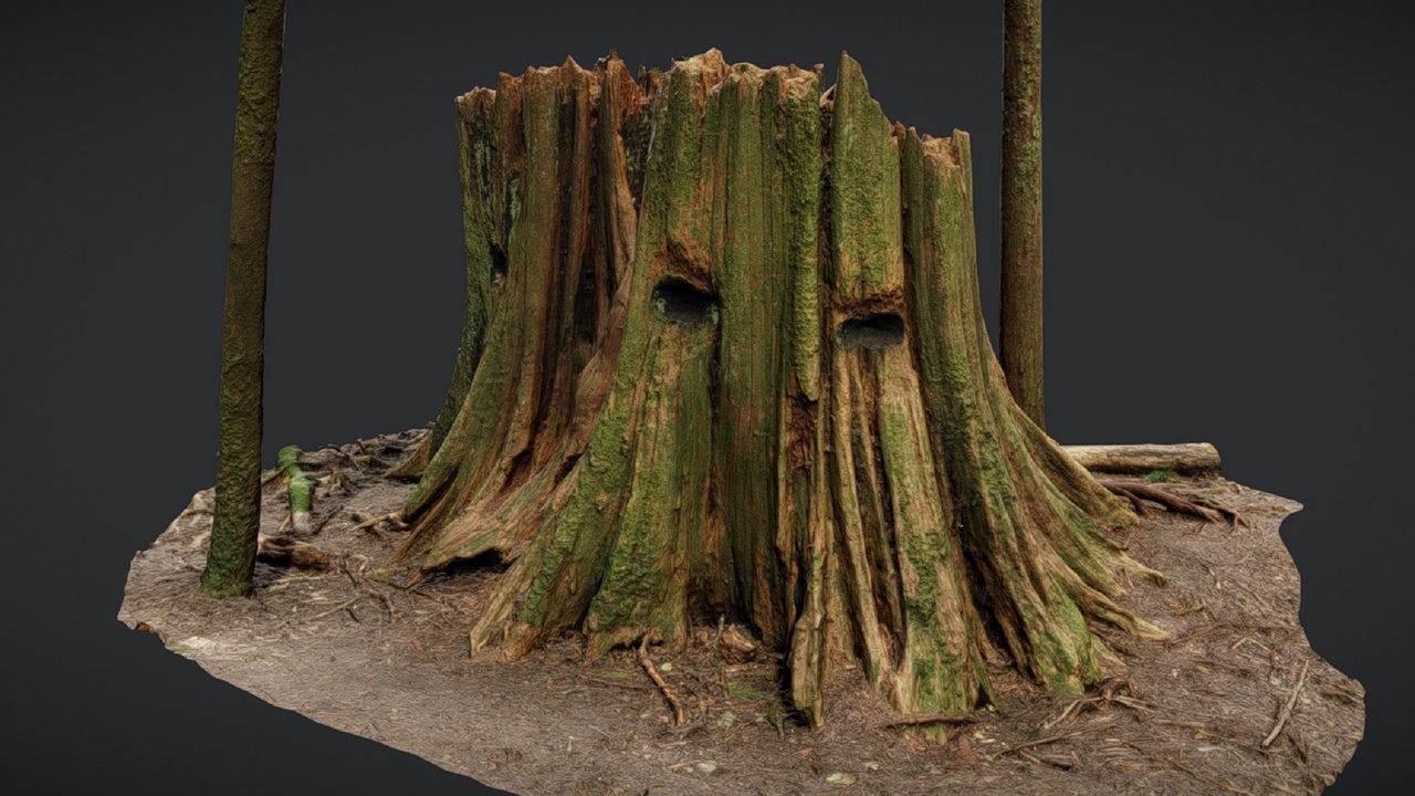 Media 1 for listing Stump 6