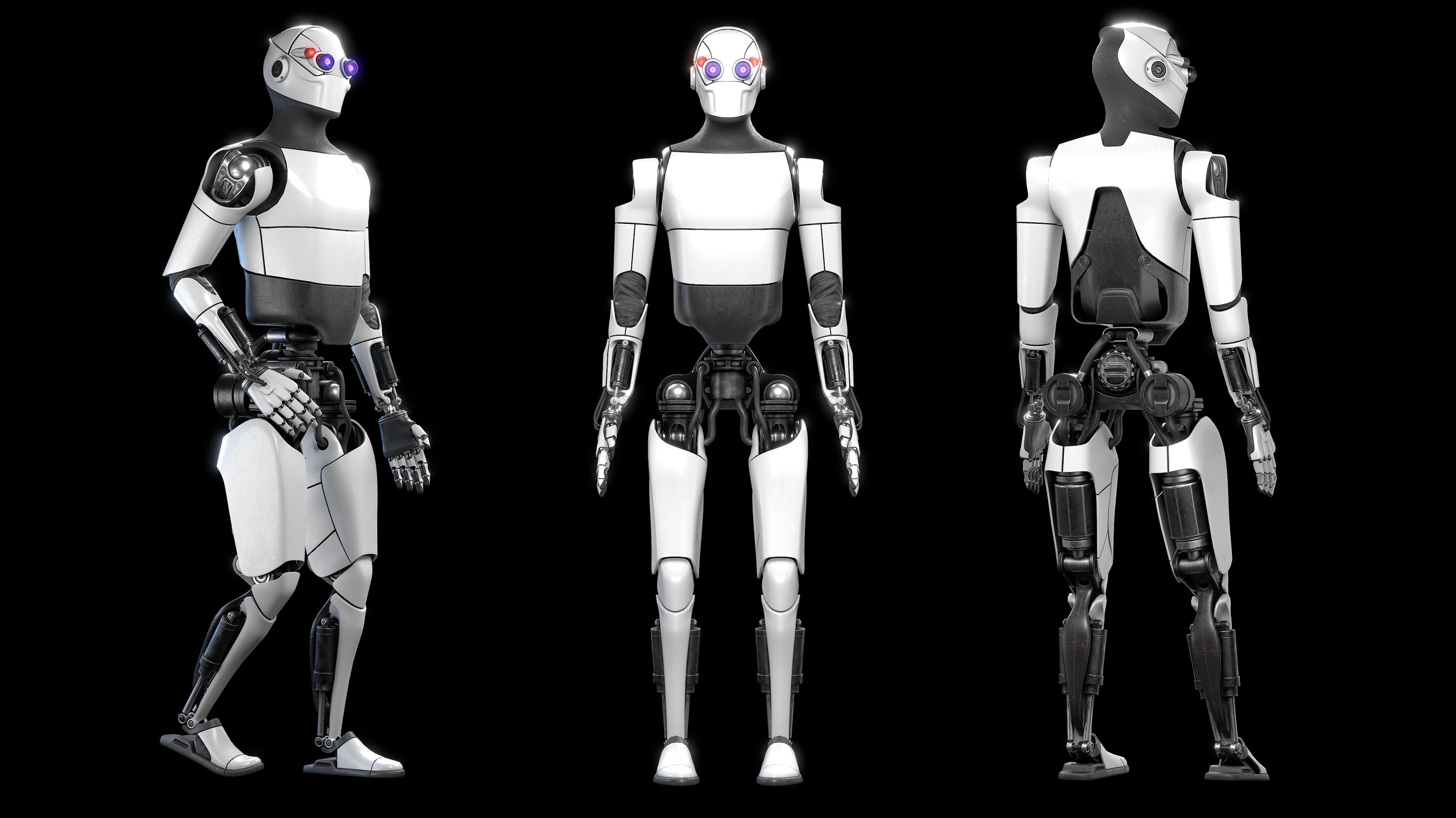 Media 1 for listing robot lesla bot
