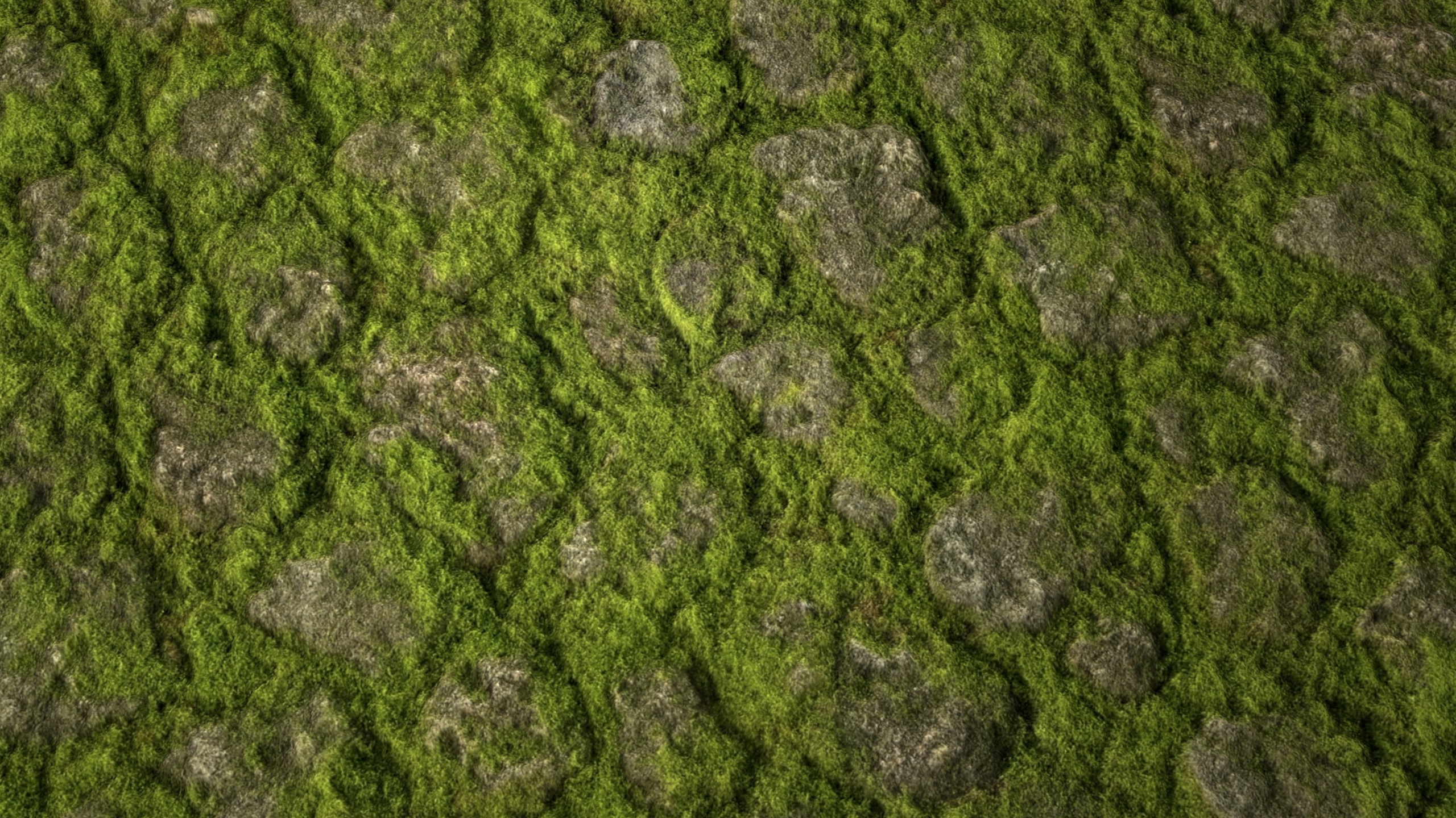 Media 1 for listing Mossy Stone PBR Texture