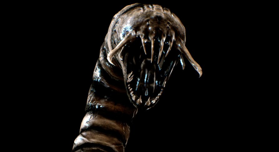 NPC Small Worm | Fab