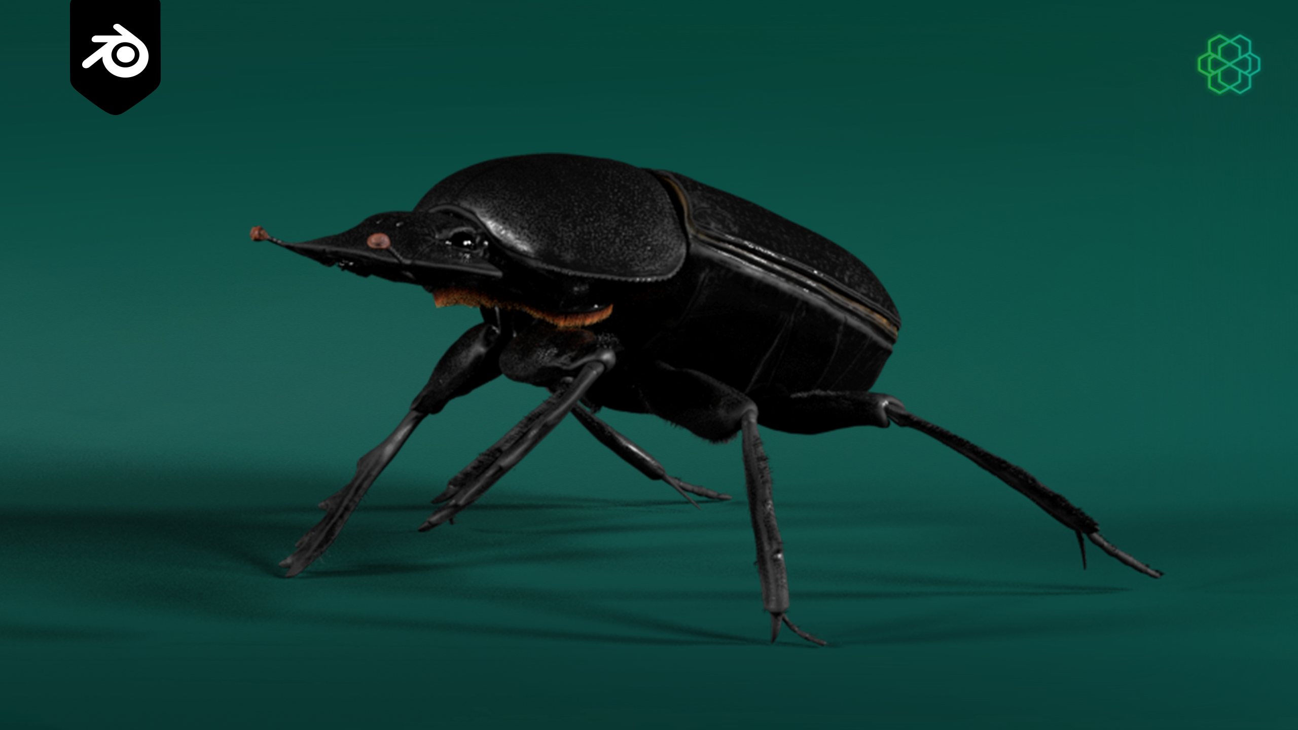Animated 3D Model - Dung Beetle - 8K Textures | Fab