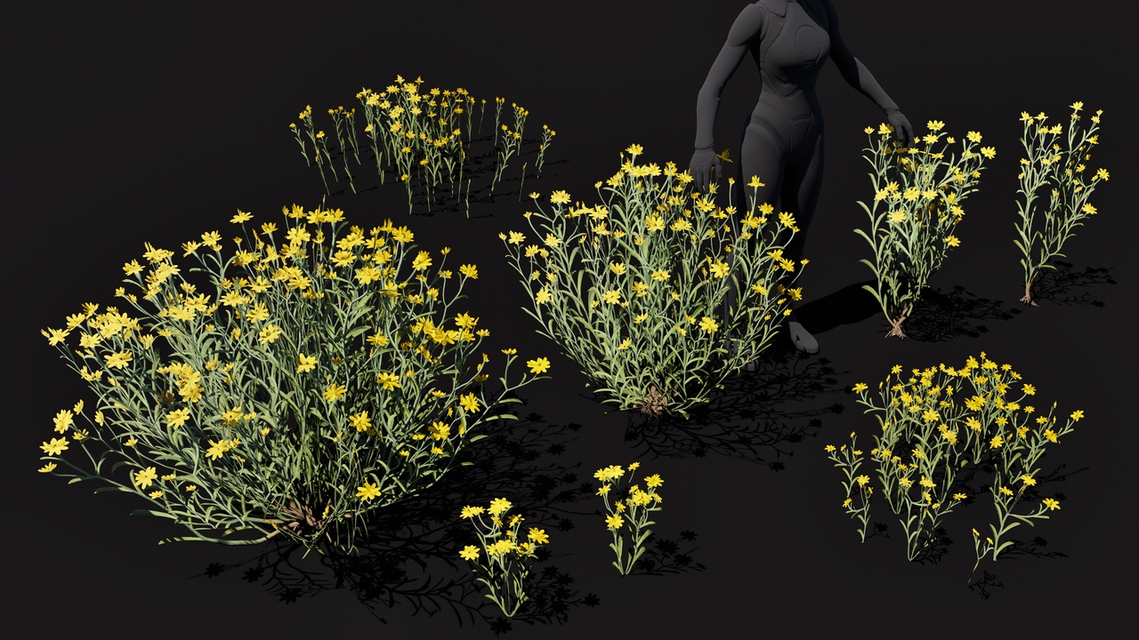 Yellow flowers desert Snakeweed bushes (Gutierrezia sarothrae) 제품 등록을 위한 미디어 1개