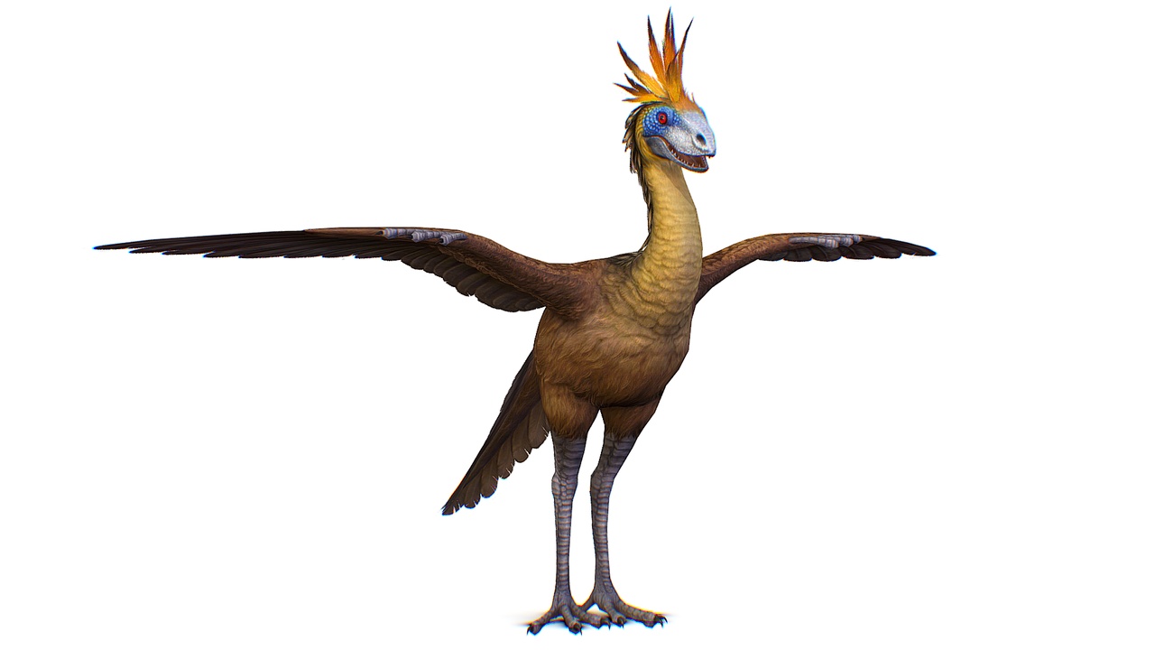 Archaeopteryx Archae Bird Dinosaur Urvogel Creature | Fab
