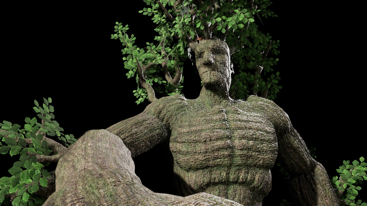 Media 1 for listing Tree Giant