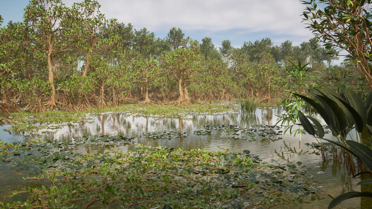 Media 1 for listing Majestic Swamps - Mangroves