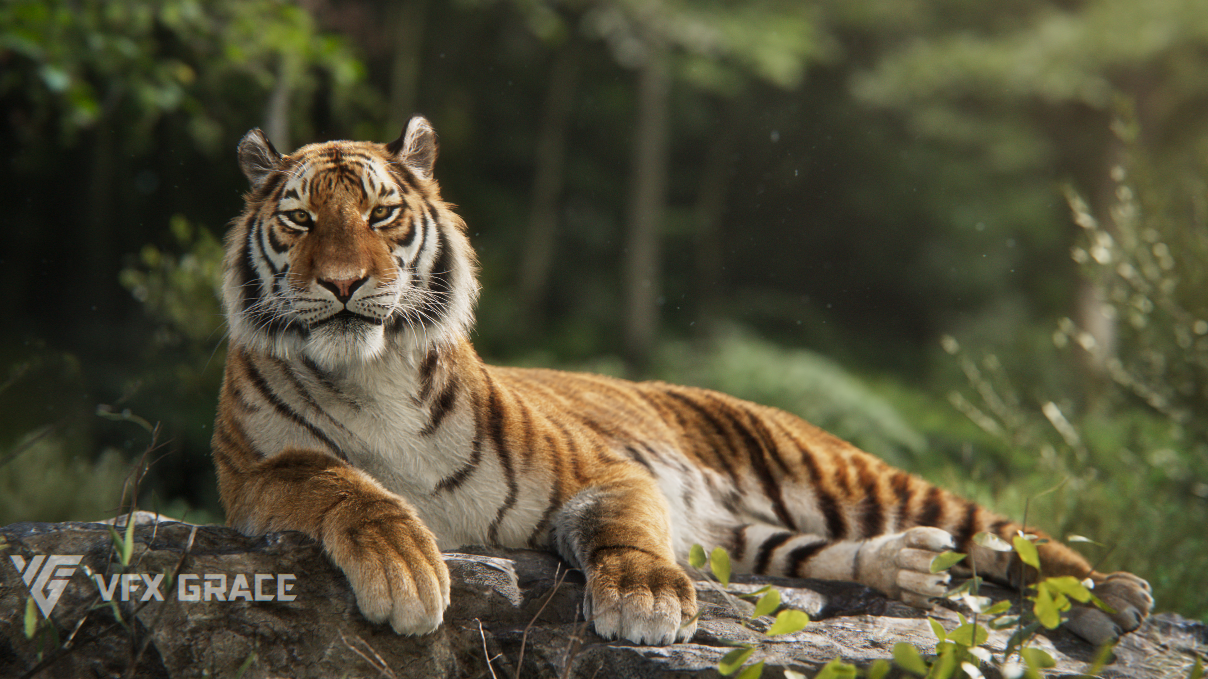 Realistic Animated Siberian Tiger 3D Model for Blender | VFX Grace