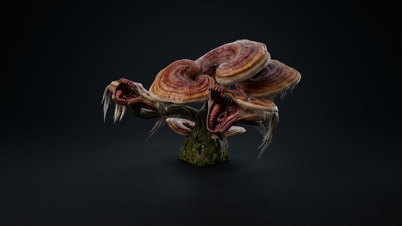 Media 1 for listing Evil Mushroom