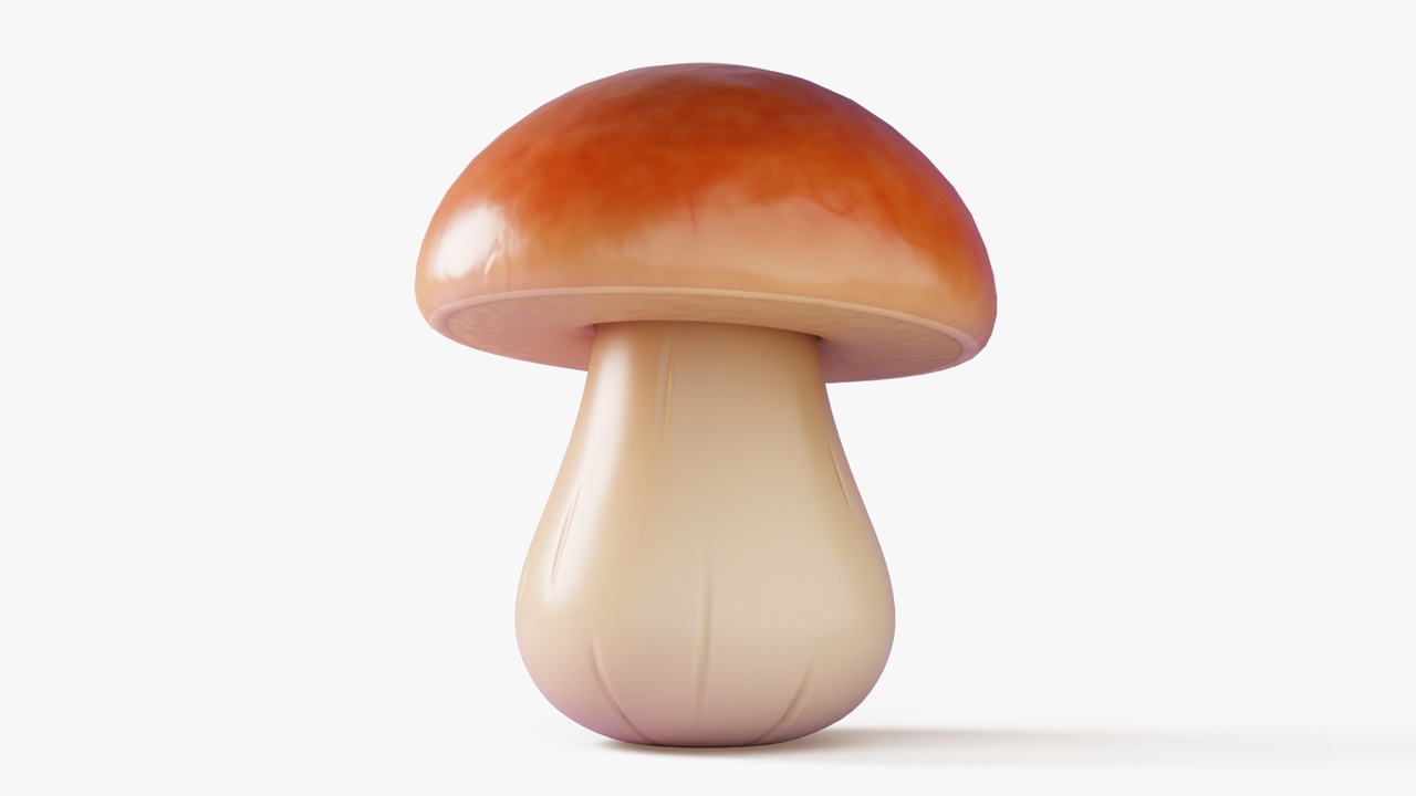 Media 1 for listing Cartoon Porcini Mushroom