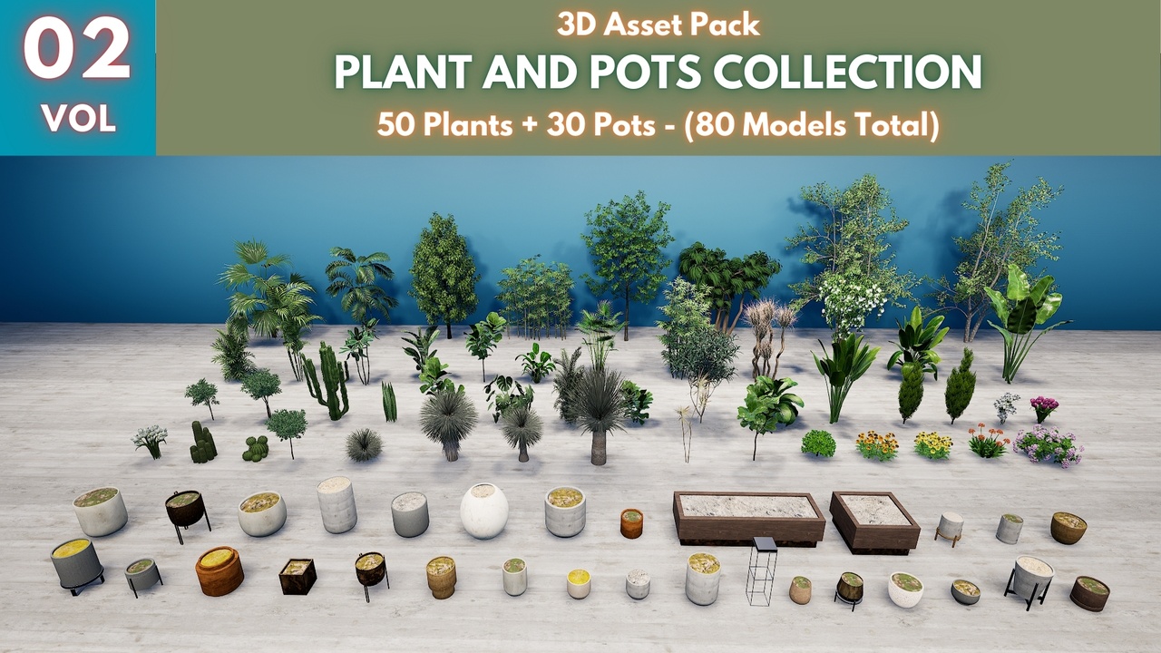 Media 1 for listing Plant And Pots Pack 2