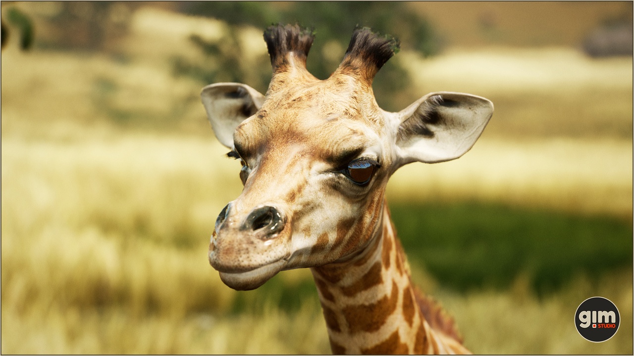 Media 1 for listing Animalia - Giraffe (young)
