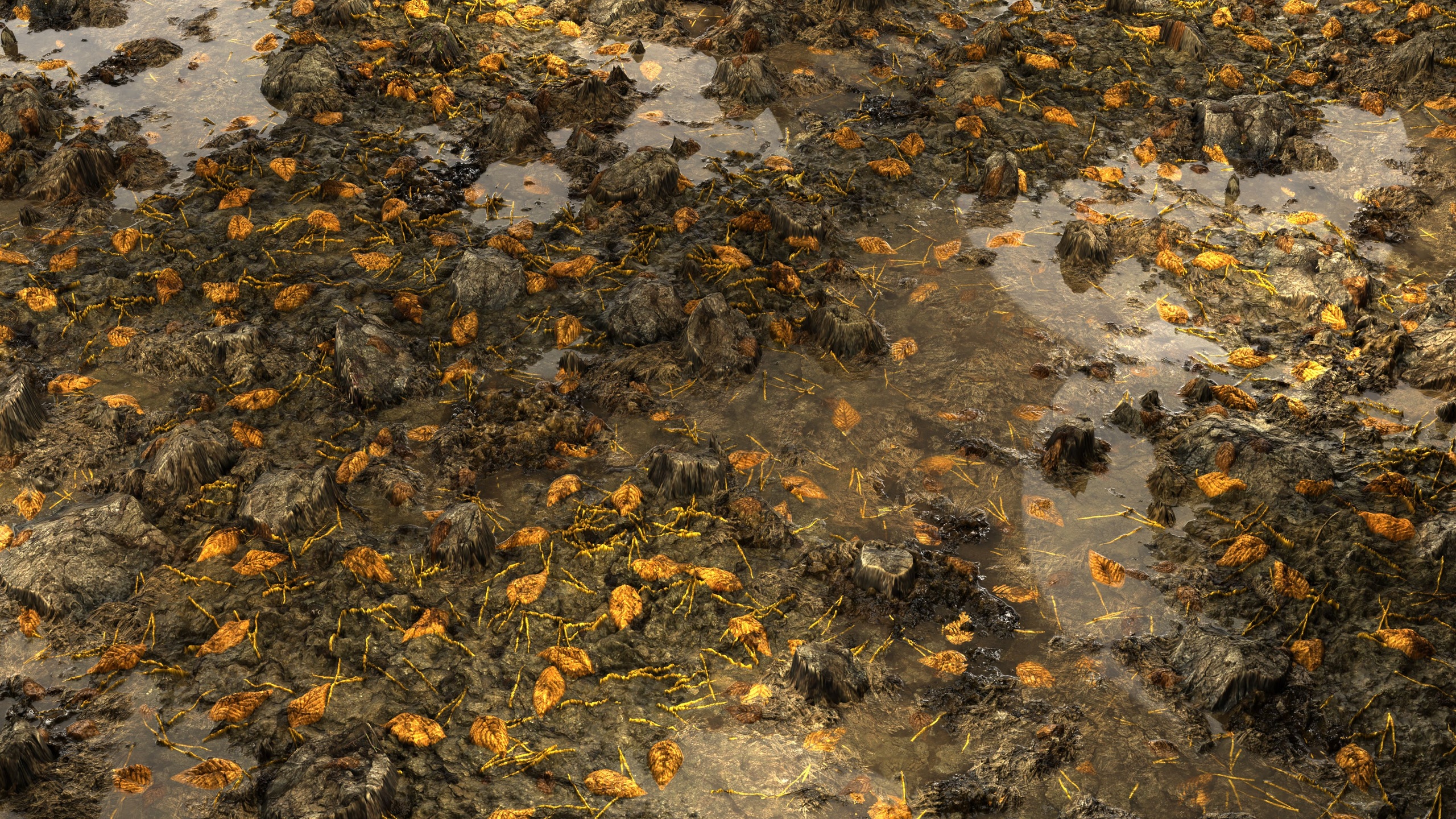 Media 1 for listing Wet Forest Floor 8K PBR Texture