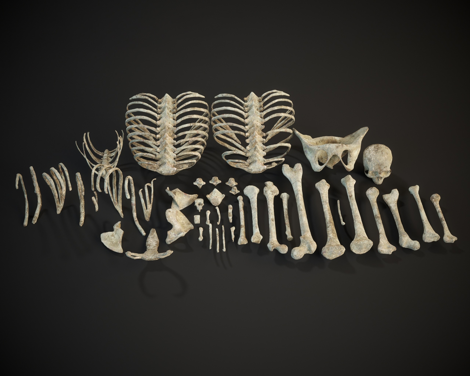 Decayed Bones Set | Fab