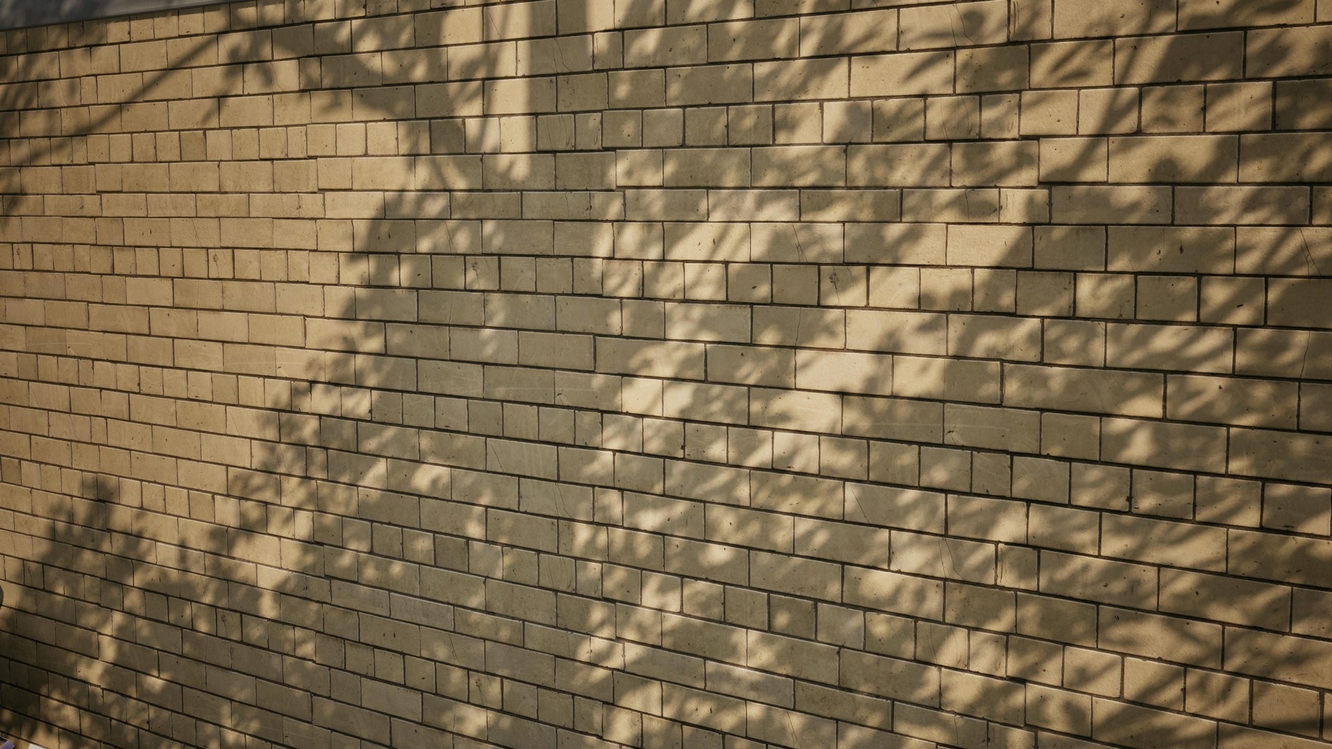 Media 1 for listing Brick Walls 04 - Scanned Photogrammetry Materials