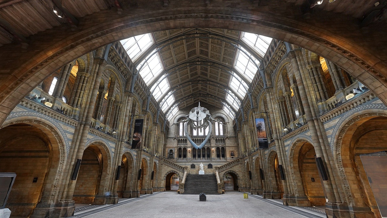 Media 1 for listing Hintze Hall
