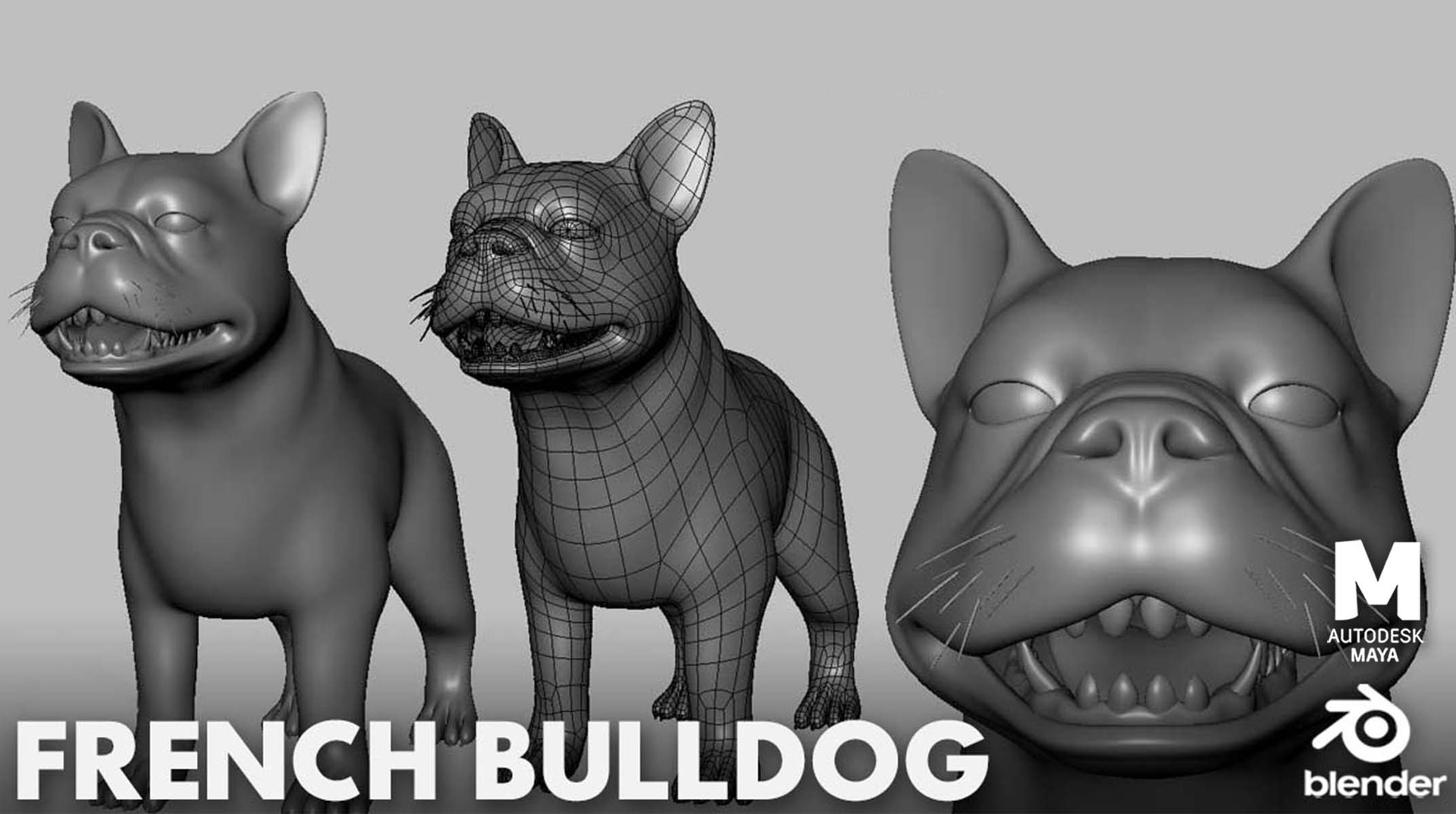 Media 1 for listing French BullDog - Topology + UV Map