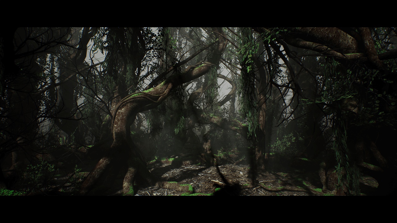 Media 1 for listing Twine Trees