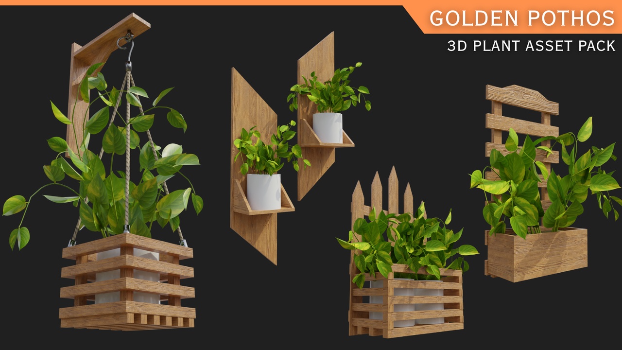 Multimedia 1 para anuncio Indoor Plants with Pots: Golden Pothos