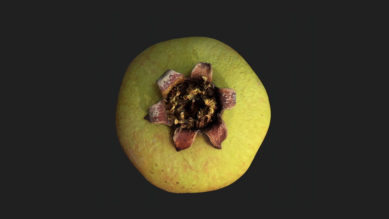 Media 1 for listing Young Whole Pomegranate (Unripe & Undamaged)