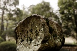 Natural Boulder | Fab