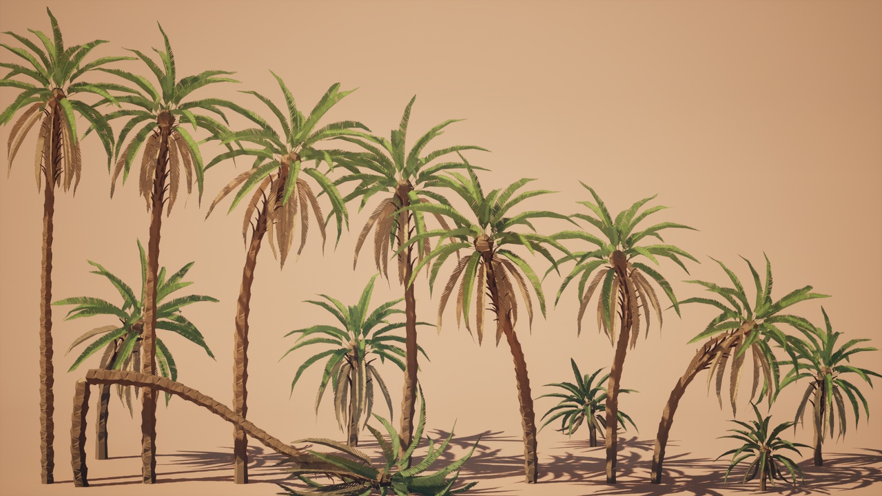 Media 1 for listing Low Poly: Desert Palms